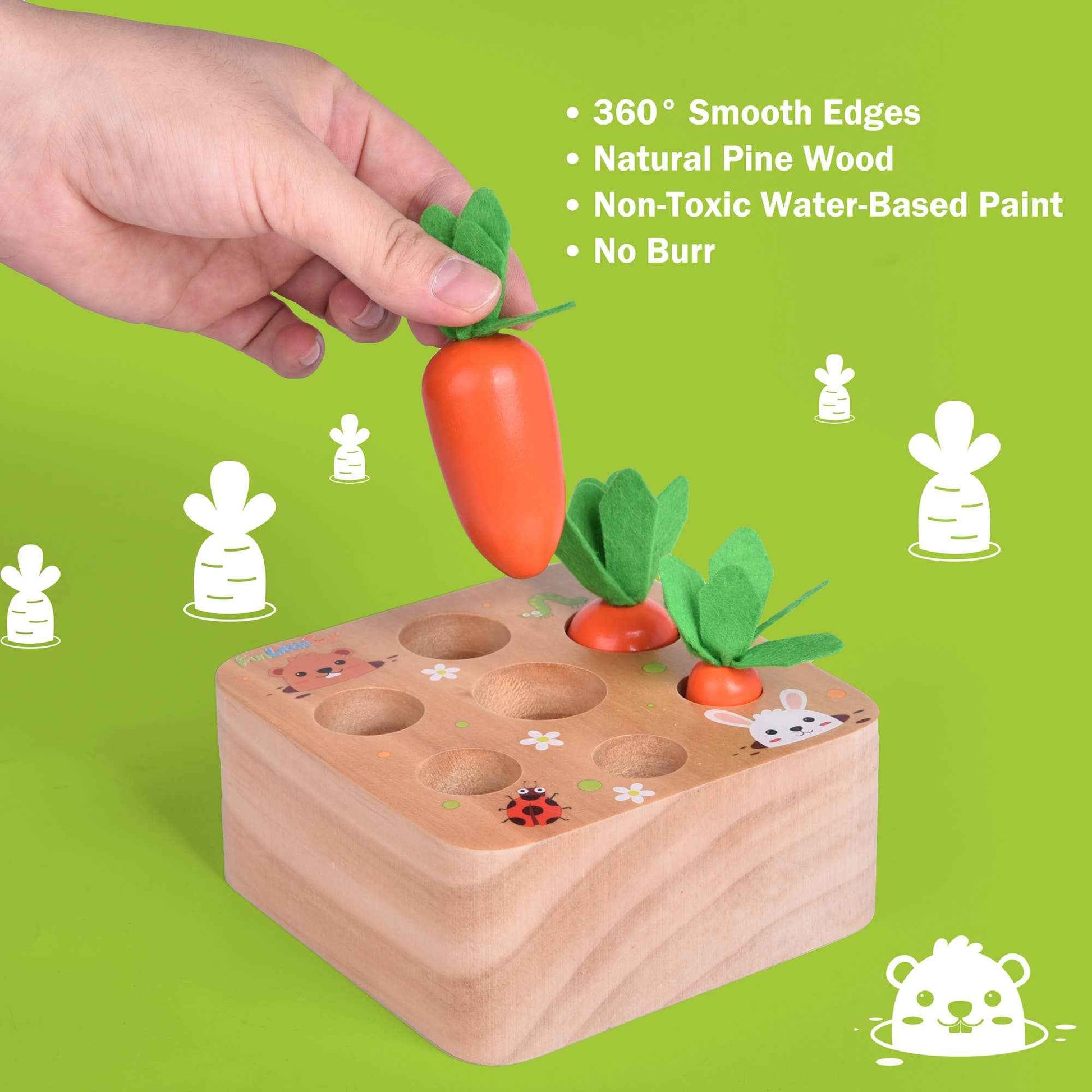 Fun Little Toys - Toys Carrots Harvest Shape Size Sorting