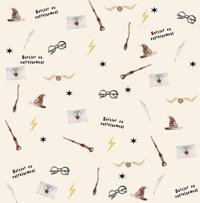 Couverture minky sorcier ⚡️petite