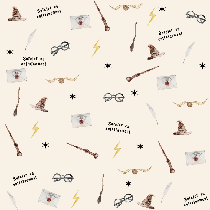 Couverture minky sorcier ⚡️ moyenne