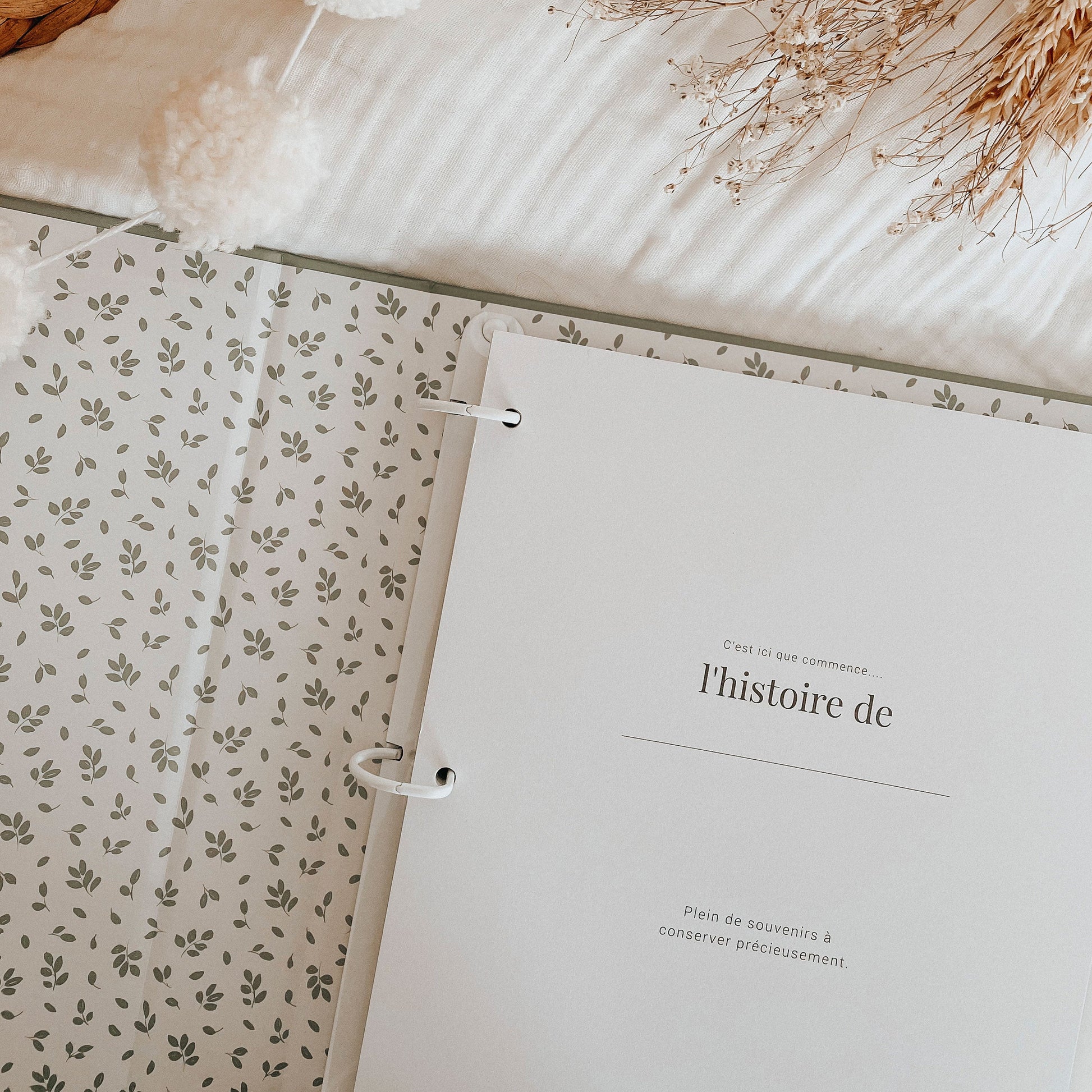 Livre de bébé - Sauge