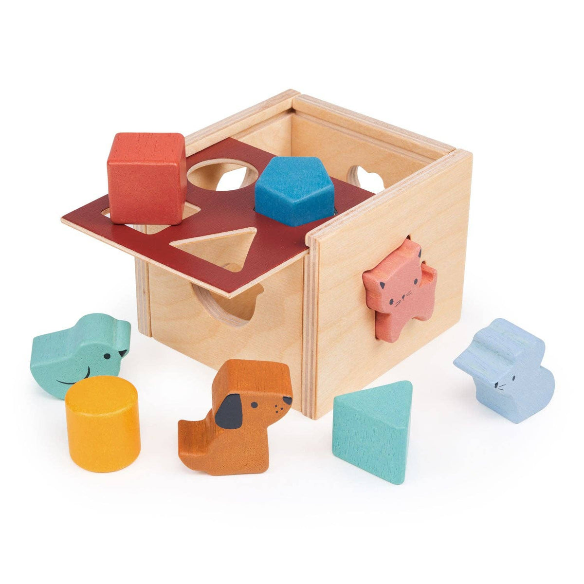 Kinderhood Distribution Inc. - Mentari Toys | Bambino Shape Sorting Cube | High Quality | Canadian Supplier