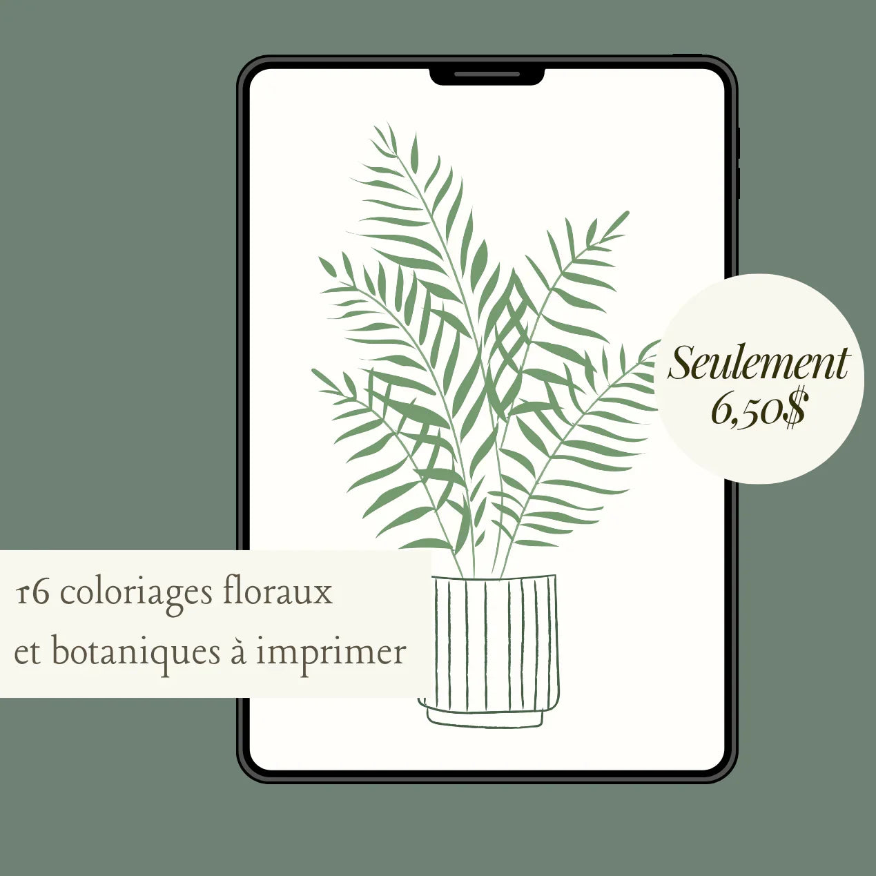 Votre Jardin de couleurs - 16 coloriages floraux - La Maison Camomille